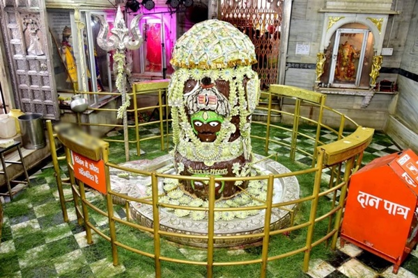 naidunia_image